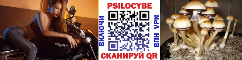 Галлюциногенные грибы Psilocybine cubensis  MEGA сайт  Чистополь 